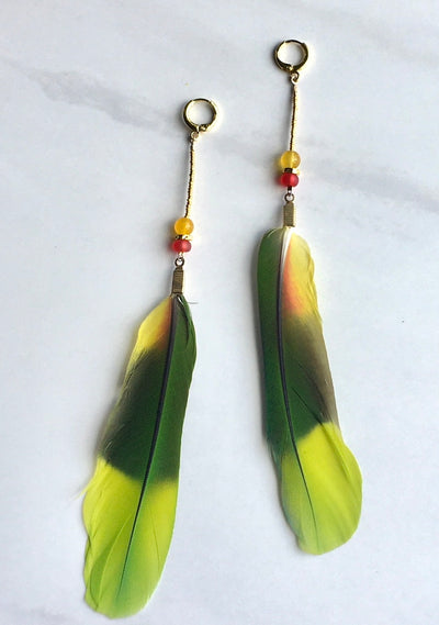 Amazon Parrot Feather Earrings